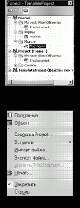  Visual Basic for Applications
